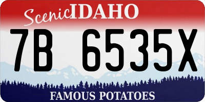 ID license plate 7B6535X