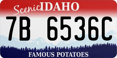 ID license plate 7B6536C