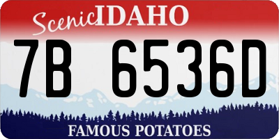 ID license plate 7B6536D