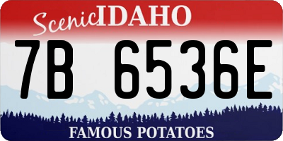 ID license plate 7B6536E