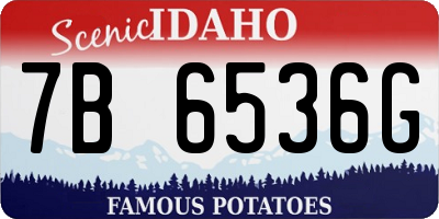ID license plate 7B6536G