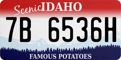 ID license plate 7B6536H