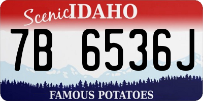 ID license plate 7B6536J