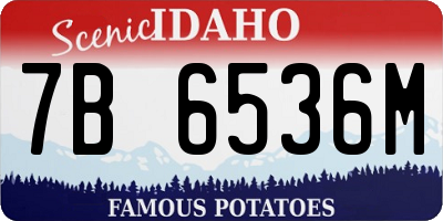ID license plate 7B6536M