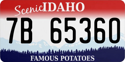 ID license plate 7B6536O