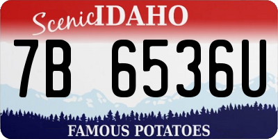 ID license plate 7B6536U