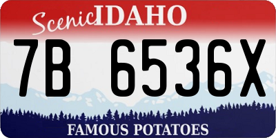 ID license plate 7B6536X