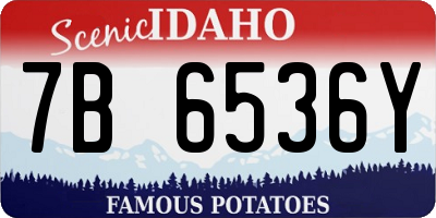 ID license plate 7B6536Y