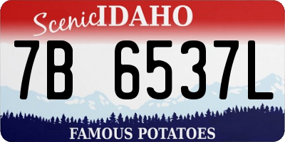 ID license plate 7B6537L