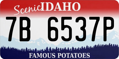 ID license plate 7B6537P