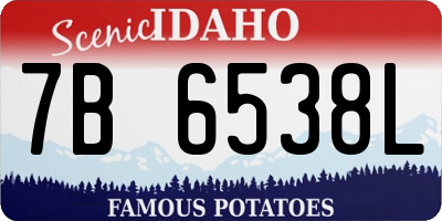 ID license plate 7B6538L