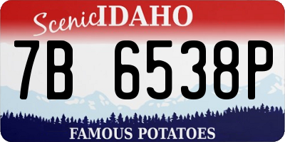 ID license plate 7B6538P