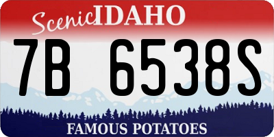 ID license plate 7B6538S