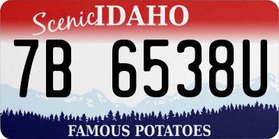 ID license plate 7B6538U