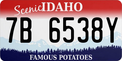 ID license plate 7B6538Y