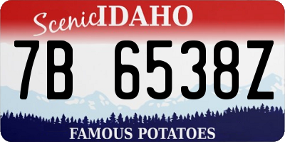 ID license plate 7B6538Z