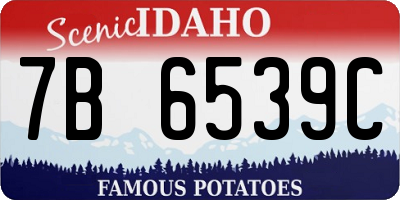 ID license plate 7B6539C