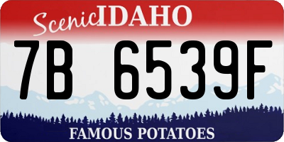 ID license plate 7B6539F