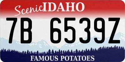 ID license plate 7B6539Z