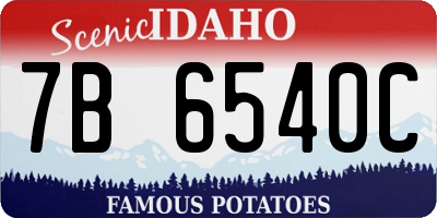 ID license plate 7B6540C