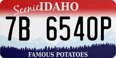 ID license plate 7B6540P