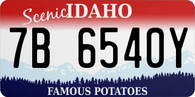 ID license plate 7B6540Y