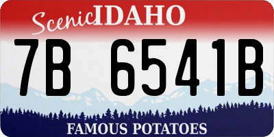 ID license plate 7B6541B