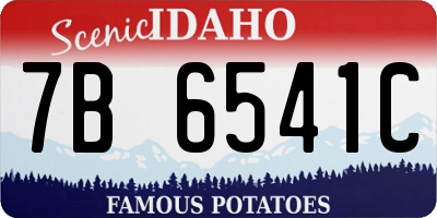 ID license plate 7B6541C