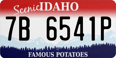 ID license plate 7B6541P