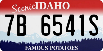 ID license plate 7B6541S