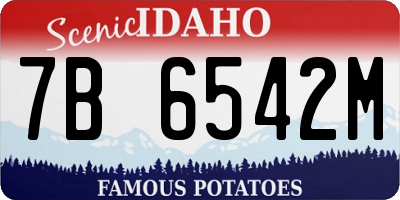 ID license plate 7B6542M