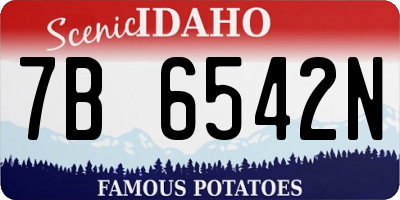ID license plate 7B6542N