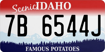 ID license plate 7B6544J