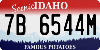 ID license plate 7B6544M