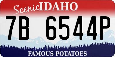 ID license plate 7B6544P