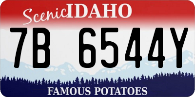 ID license plate 7B6544Y