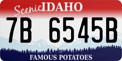ID license plate 7B6545B