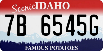 ID license plate 7B6545G