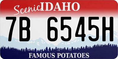 ID license plate 7B6545H