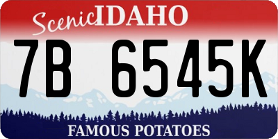 ID license plate 7B6545K