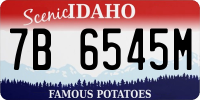 ID license plate 7B6545M