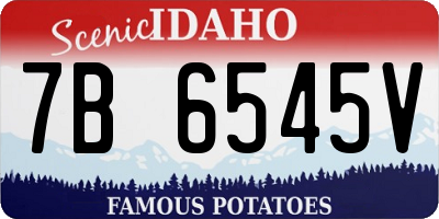 ID license plate 7B6545V
