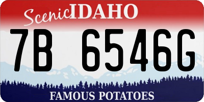ID license plate 7B6546G