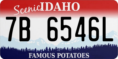 ID license plate 7B6546L
