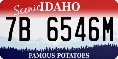 ID license plate 7B6546M