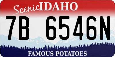 ID license plate 7B6546N