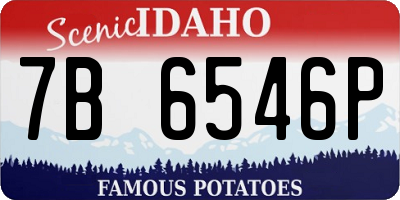 ID license plate 7B6546P