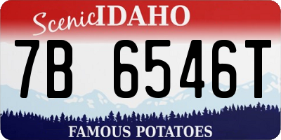 ID license plate 7B6546T