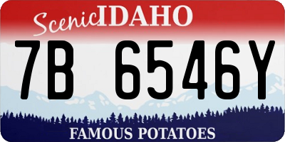 ID license plate 7B6546Y