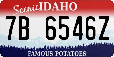 ID license plate 7B6546Z